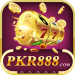 PKR 888 Game logo